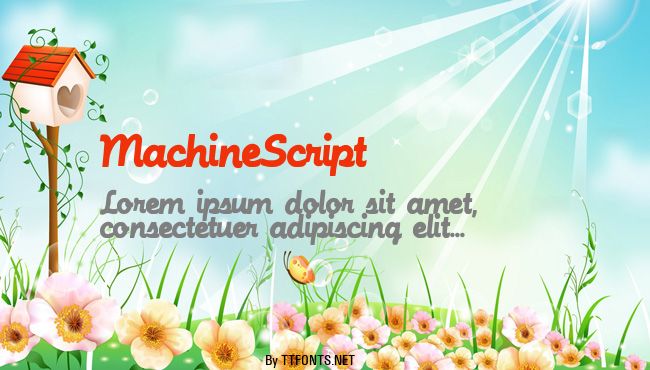 MachineScript example
